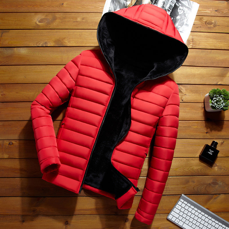 Men's Winter Short Padded Jacket